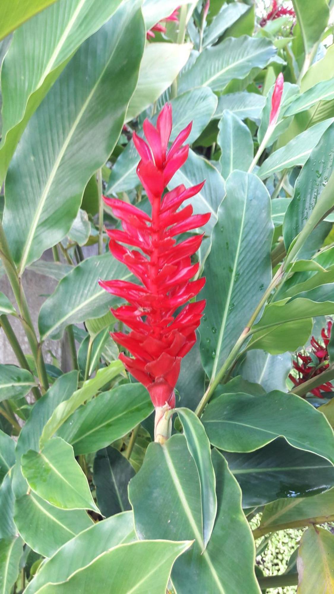 Quintal Da Mata 호텔 상세바스티앙 외부 사진