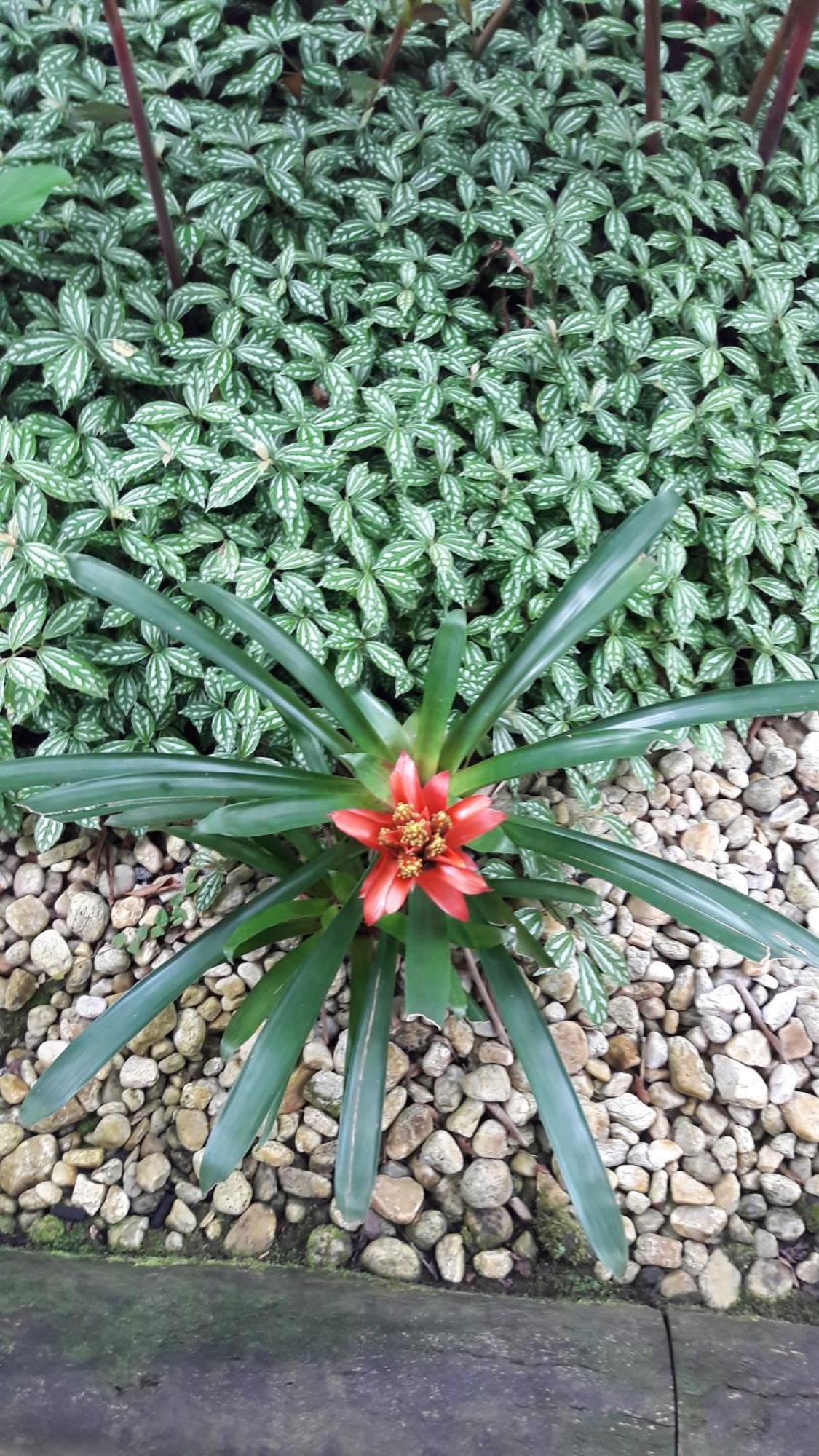 Quintal Da Mata 호텔 상세바스티앙 외부 사진