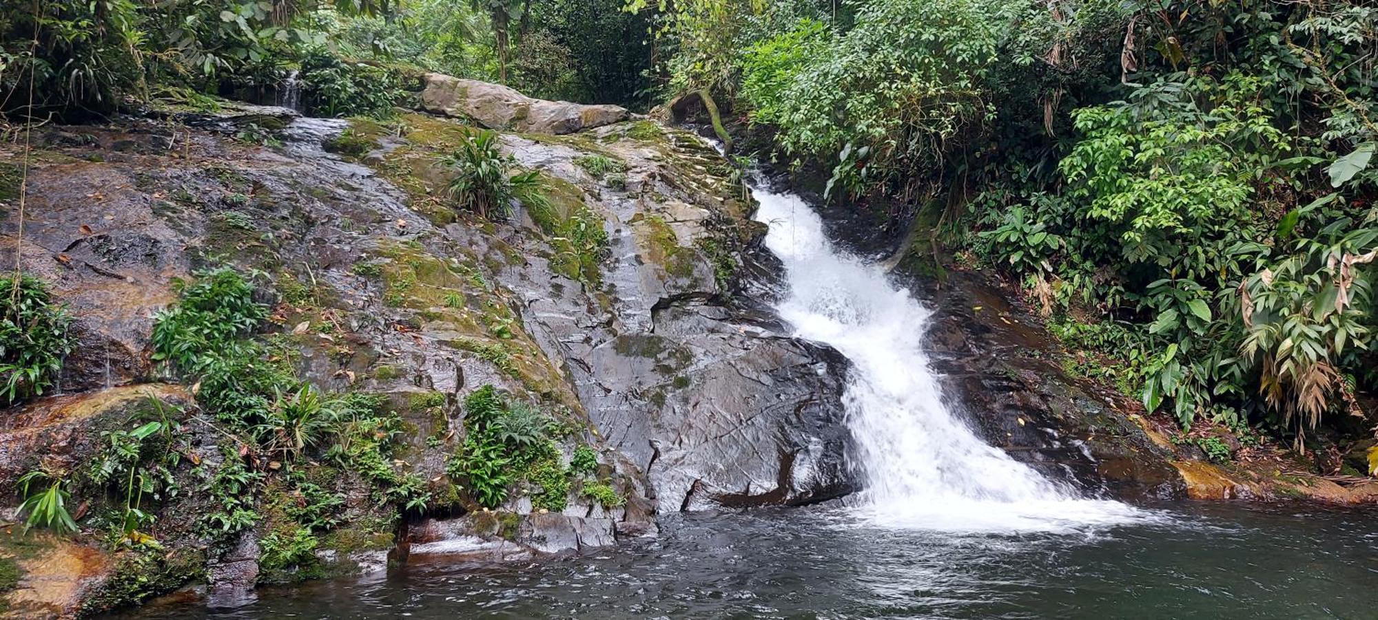 Quintal Da Mata 호텔 상세바스티앙 외부 사진