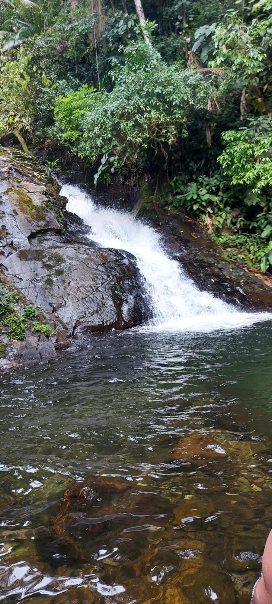 Quintal Da Mata 호텔 상세바스티앙 외부 사진